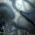 Dark Souls beaten in 1 hour 26 minutes; Exemplary display of skill shown